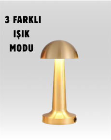 %100 Kademeli Ayarlanabilir Işık – USB Şarjlı Masa Lambası